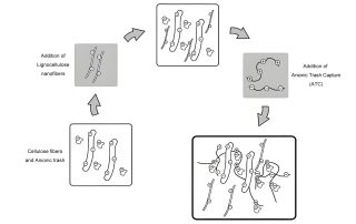 Working principle of anionic garbage capture agent